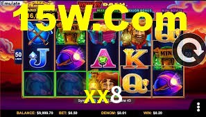 xx8,xx8.com